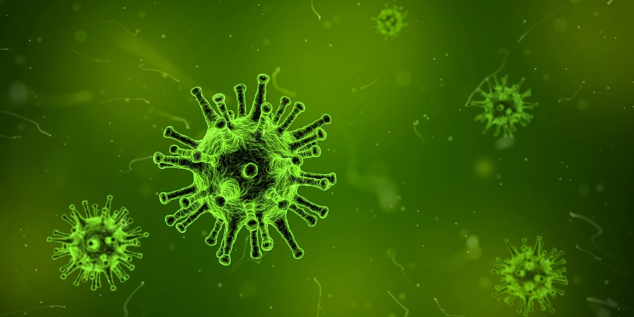 recherche medicale virus Don vaincre les maladies lysosomales