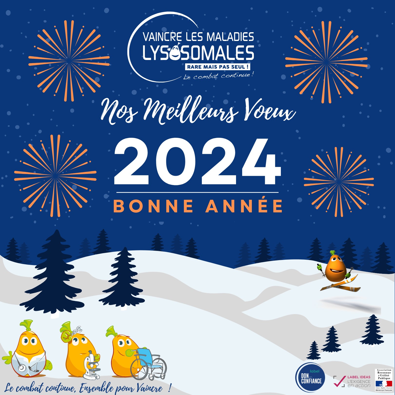 Bonne année VML 2024