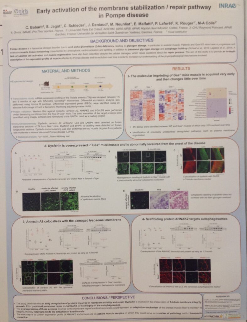 poster scientifique d'étude financé par VML