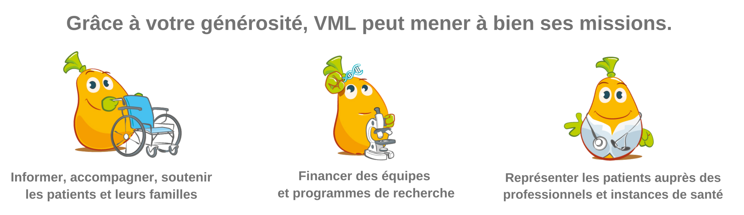 les missions de VML